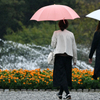 秋雨の赤坂離宮