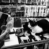 九份のお土産屋さん