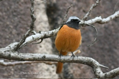 出会えてよかった