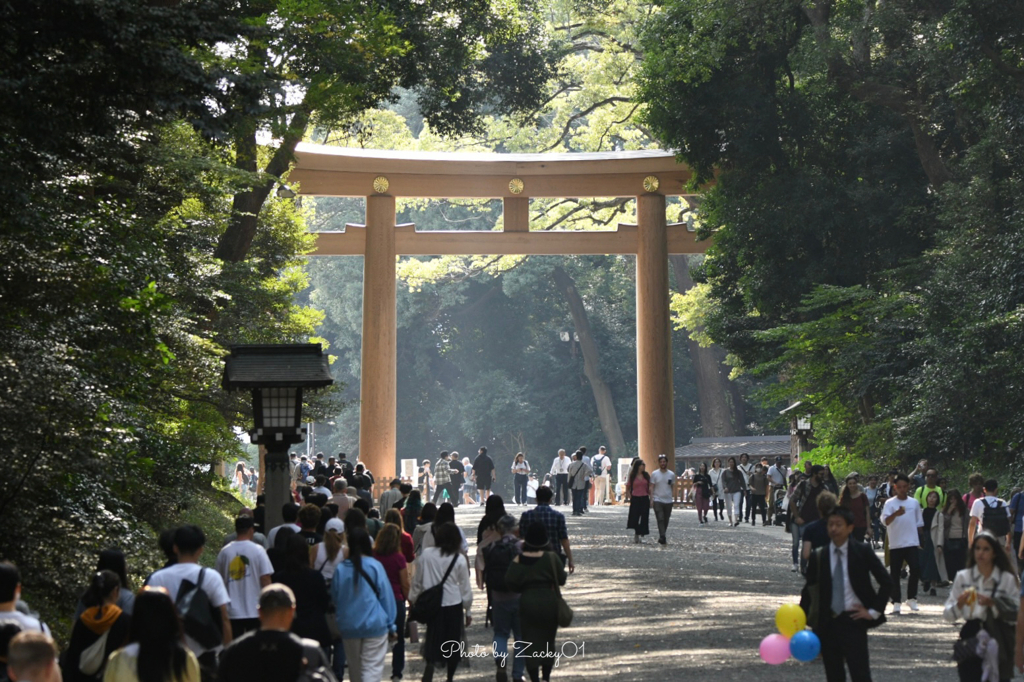 明治神宮の秋
