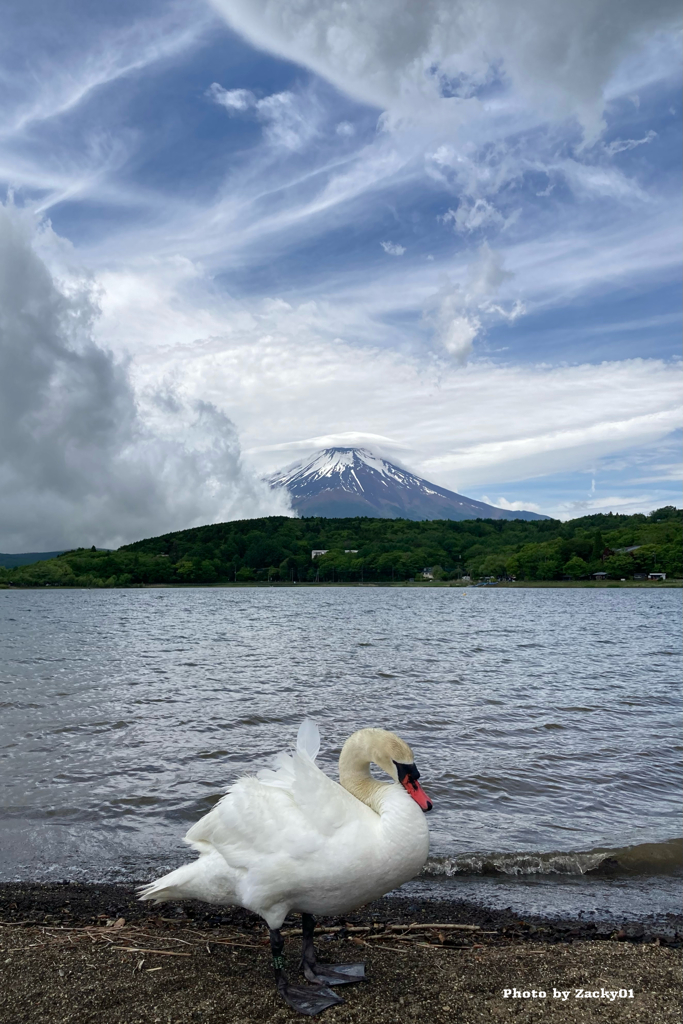 青空が来た！
