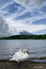 青空が来た！
