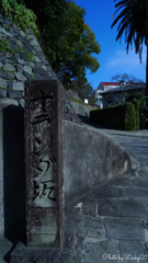 邸宅へ続く石畳