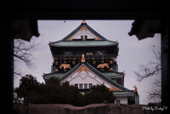 鳥と城