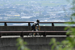 ループ橋の景色　/    ロードバイク