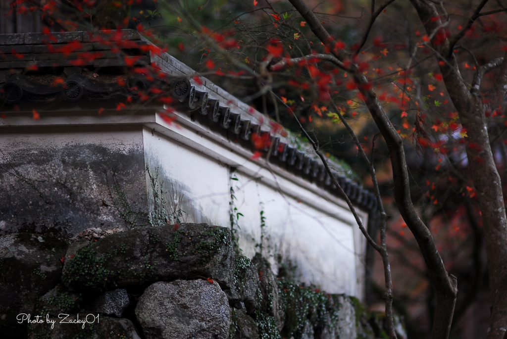 秋めく山寺の塀