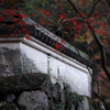 秋めく山寺の塀