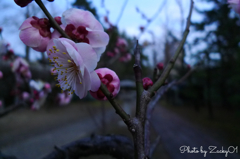 静かに語りかけ