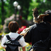フクロウとお散歩