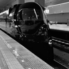 帰って来ました
