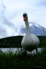 心の中は涼しい季節