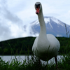 心の中は涼しい季節