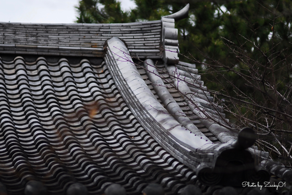 瓦の重なり