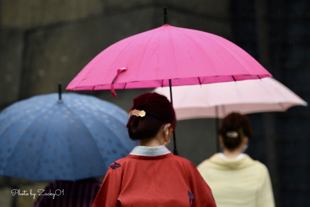 春雨に