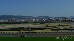 さくら咲く阪神競馬場