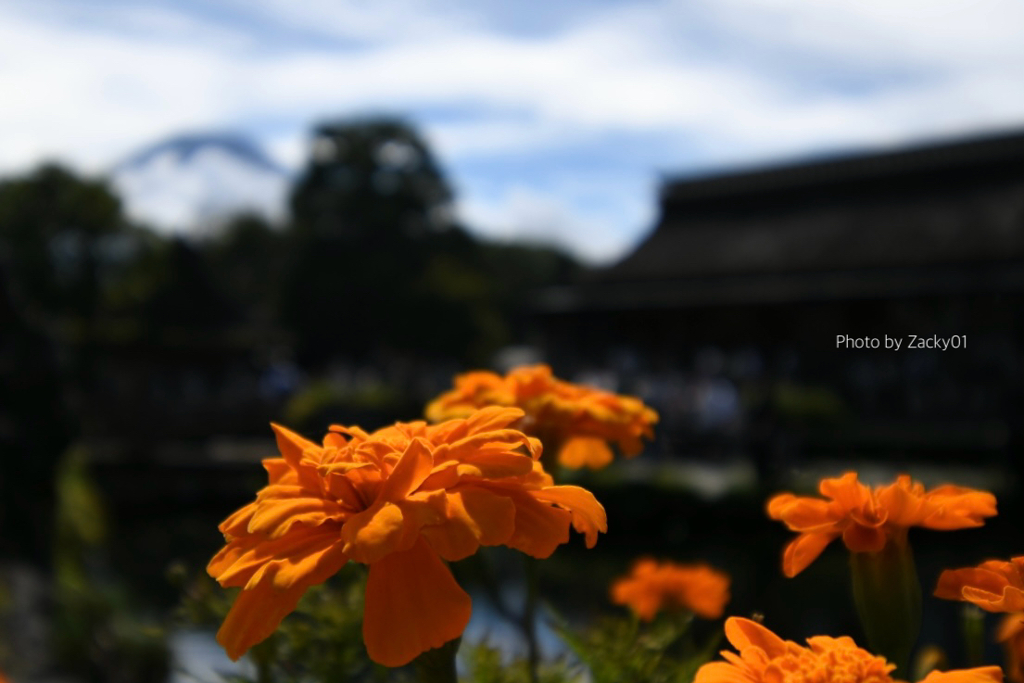 写真は時間旅行