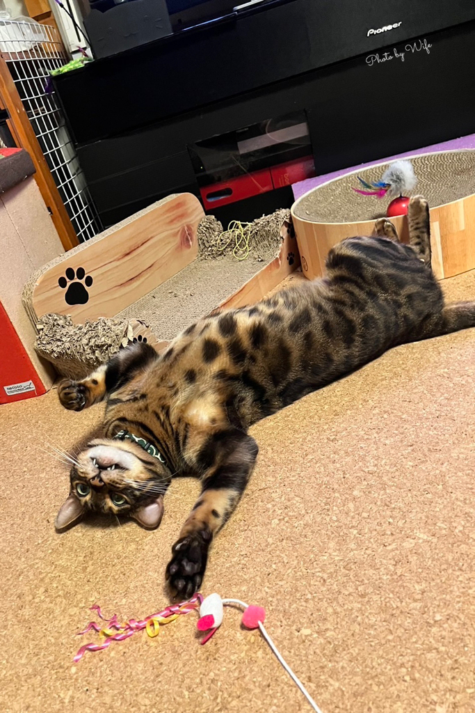 バキューン