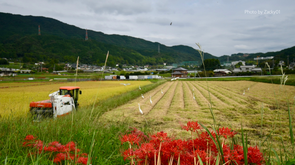 何気ない景色