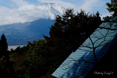 Good morning,Mt.Fuji