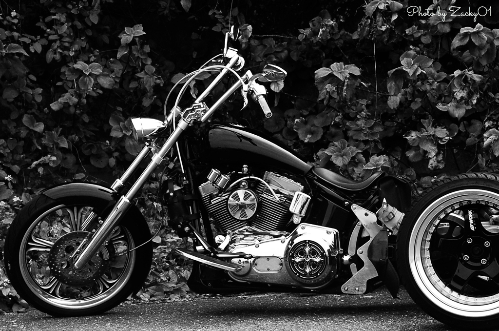 Trike for Harley-Davidson