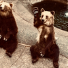 怖い存在