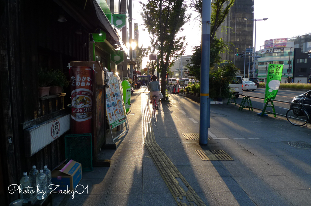 夕陽に向かい颯爽と