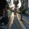 夕陽に向かい颯爽と