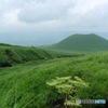 米塚