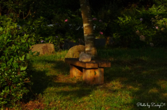 公園の片隅で