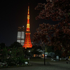 TOKYOといえば