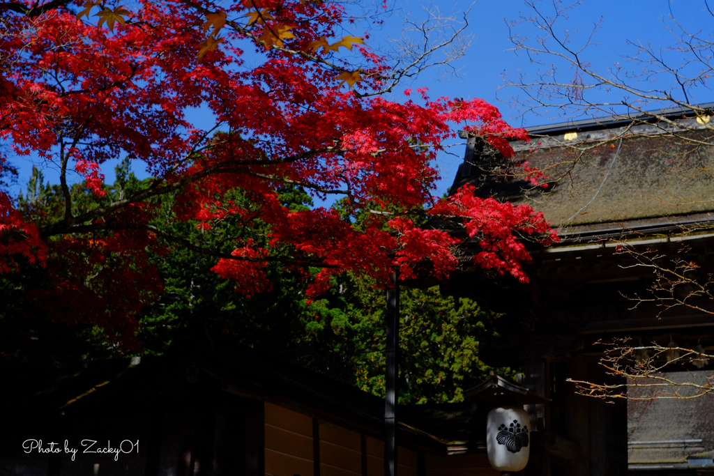空海思う高野山