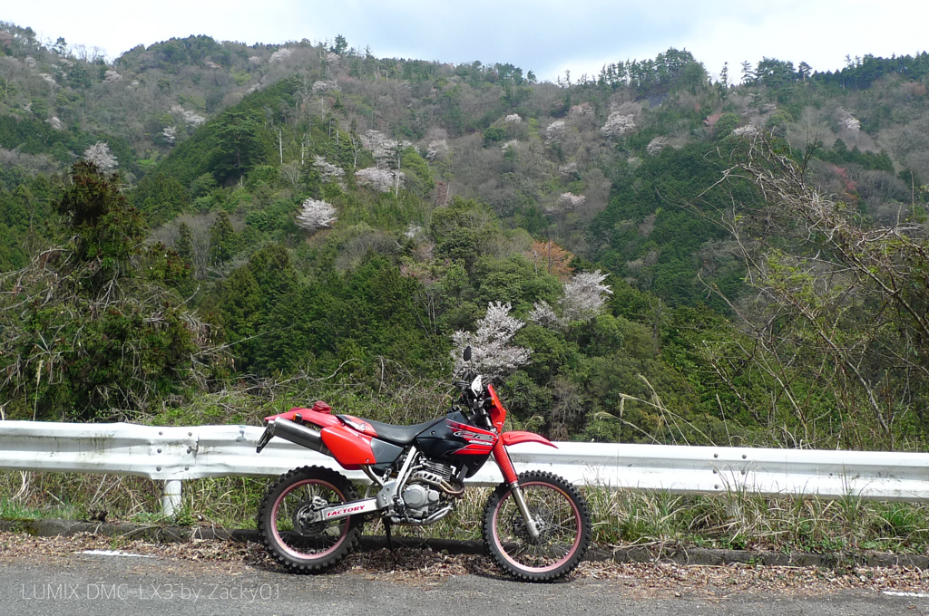 春山の道