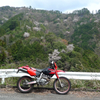 春山の道