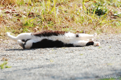 ポカポカ陽気の中で伸び〜る