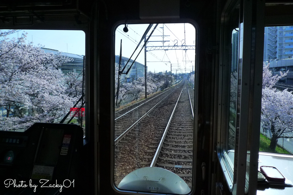 満開の桜と阪急電車