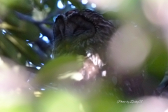 暖かな冬の昼下がり