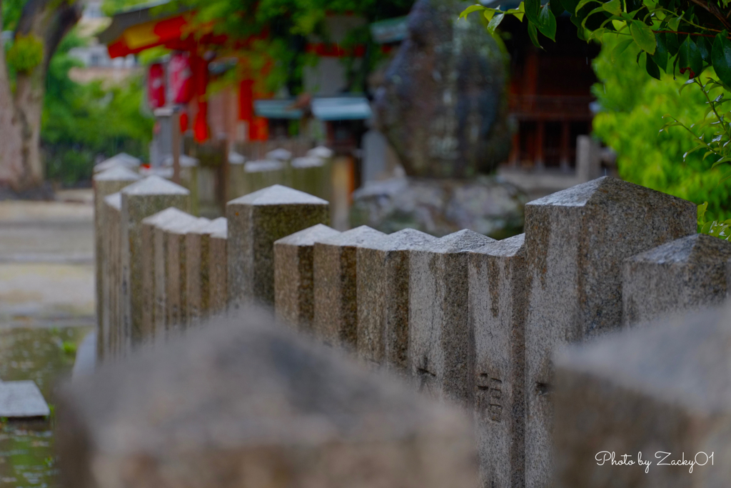 五月雨の菖蒲神池