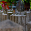 五月雨の菖蒲神池