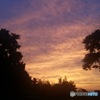 朝倉の夕暮れ