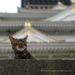 大阪の旅　1ページ