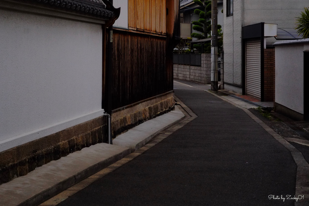 毎朝の散歩道