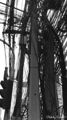 バンコクの電線