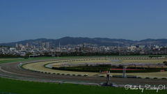 さくら咲く阪神競馬場