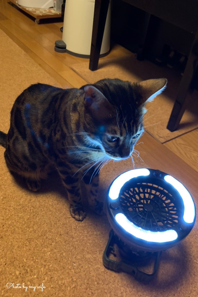 送風機付き非常灯