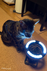 送風機付き非常灯