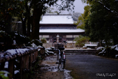 粉雪舞う観世音寺