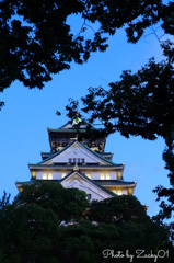 お城の灯り