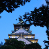 お城の灯り