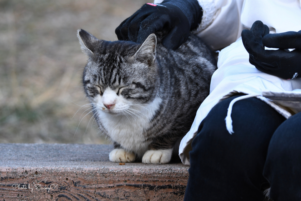 目を閉じたくなる惨状
