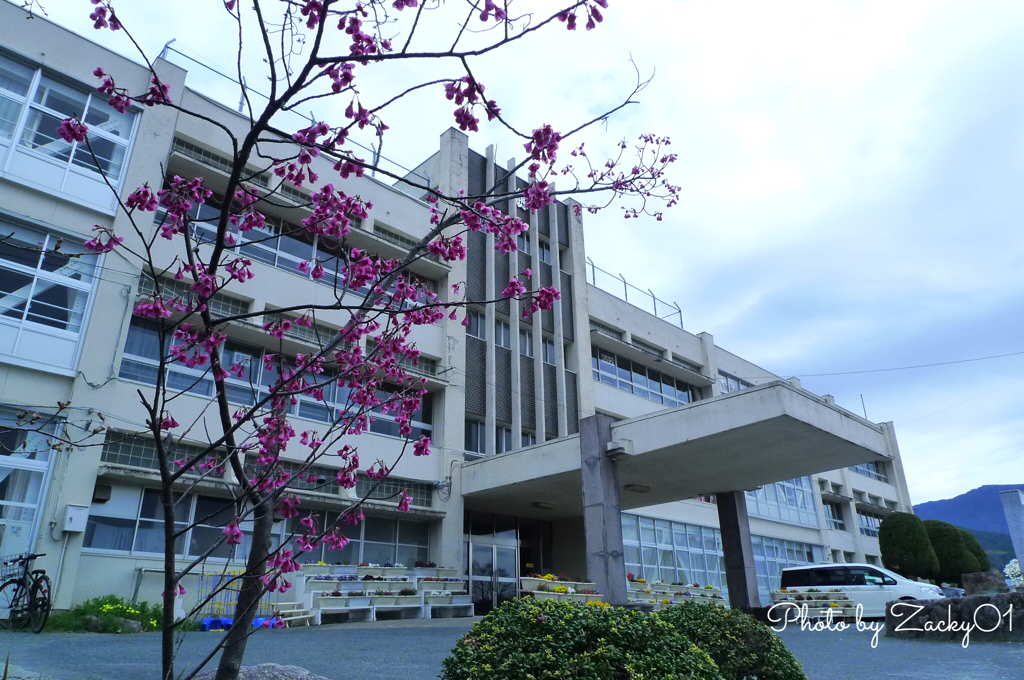休日の小学校